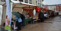 Aktionstag_02