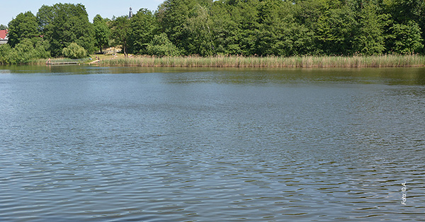 haussee